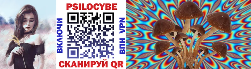 цены наркотик  Калуга  Галлюциногенные грибы Psilocybine cubensis 